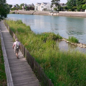The city of Perreux-sur-Marne has rethought its entire relation to its river, considering it as a major environmental, social, urban and political issue. The project aims at bringing back both the people and other species of plants and animals to the banks of the river Marne, by softening the water and urban edges. Concrete protections are turned into vegetal engeneering, and overflood is accepted, widening the spectrum of environements.